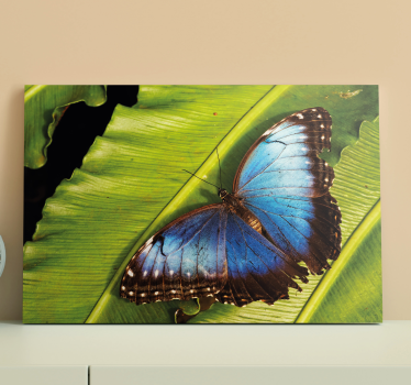 Blå fjäril detalj fjärilcanvas tavla bild - Tenstickers