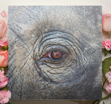 Elefant närbildcanvas tavla konst - Tenstickers