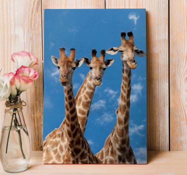 Giraff trio porträtt Kanvas djur - Tenstickers