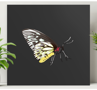 Kanvas fjärilar elegant fjärilsprofil - Tenstickers