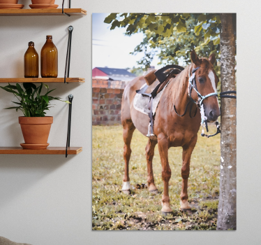 Kanvas häst elegant brun häst - Tenstickers