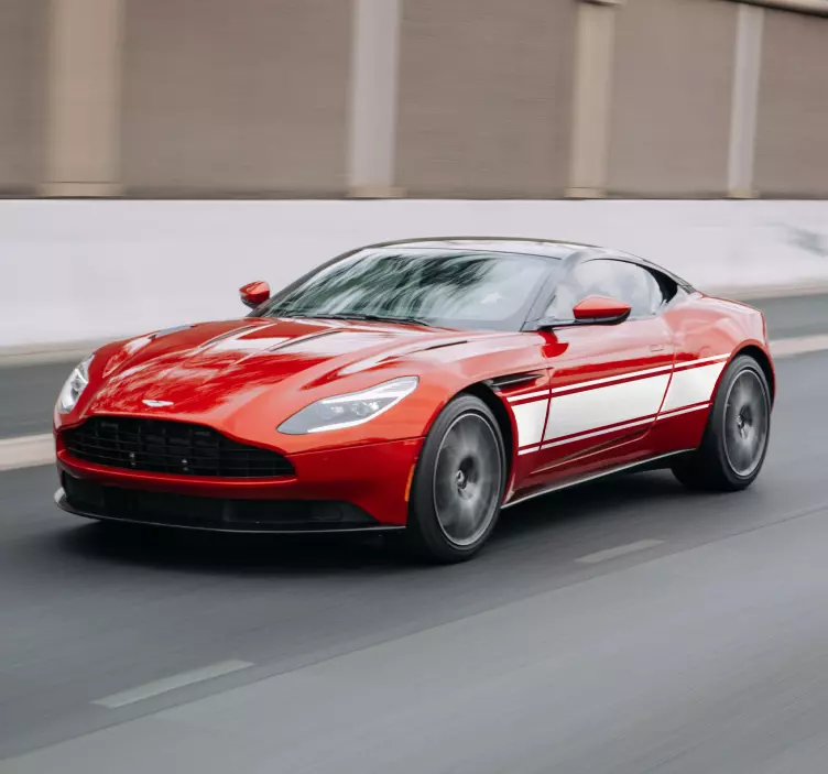 Anpassad rallybil vinyl klistermärke - Tenstickers