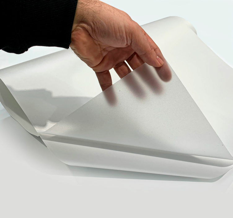 Translúcido básico Väggklistermärken fönster och glas - Tenstickers