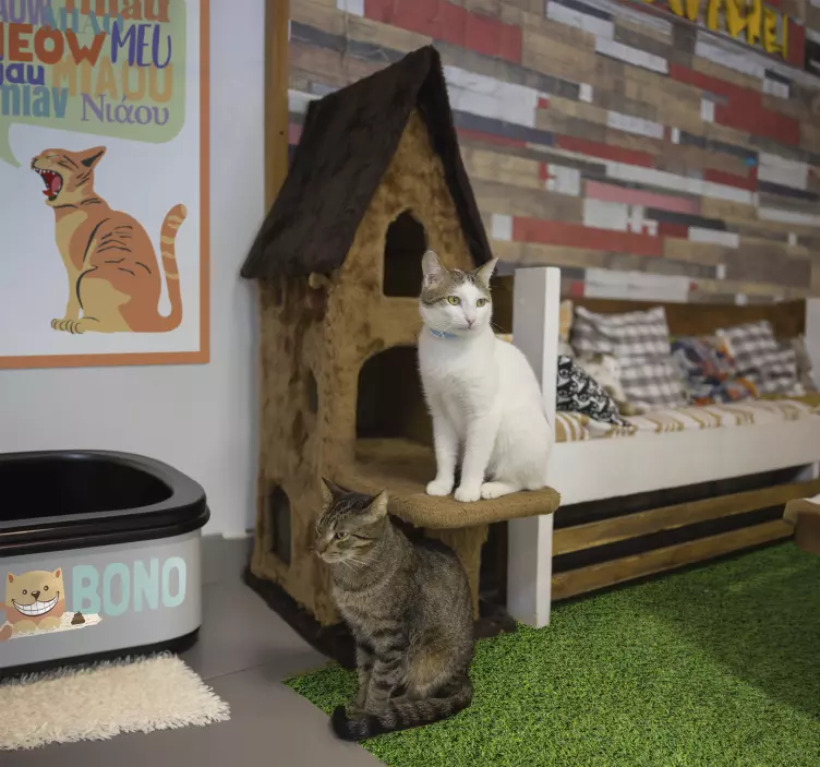 Kattlitterbox namn Väggklistermärken hundar och katter - Tenstickers