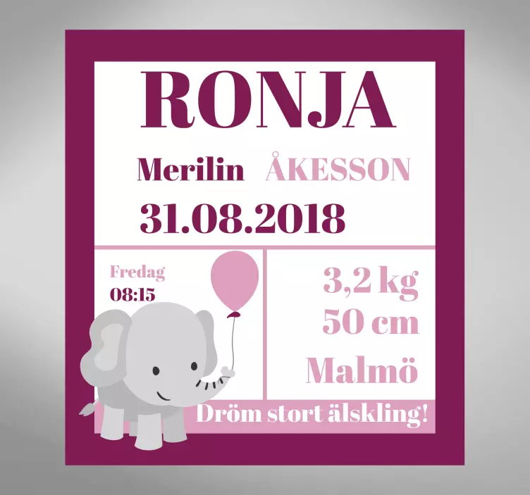 Födelsekort flicka barnkammare vägg klistermärke - Tenstickers