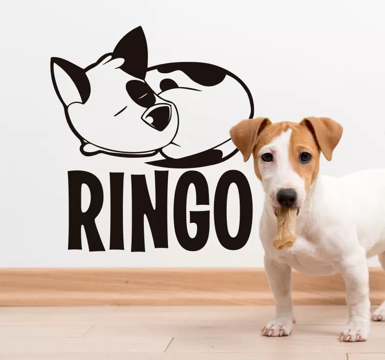 Jack russel djurvägg klistermärke - Tenstickers