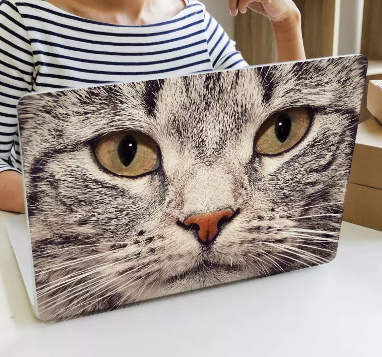 Katt ansikte laptop laptop klistermärke - Tenstickers