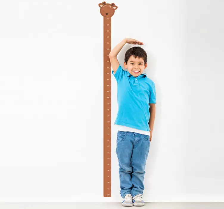 Rådjur höjd diagram vägg klistermärke - Tenstickers