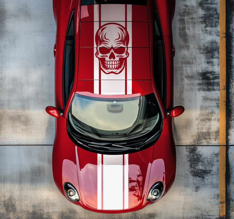 Ränder med skalle bildekaler - Tenstickers