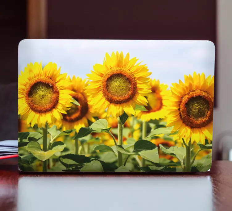 Solrosfält klistermärke för bärbar - Tenstickers