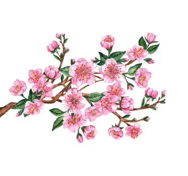 Blomma gren Väggklistermärken fönster och glas - Tenstickers