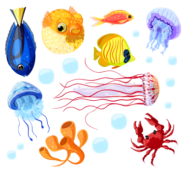 Undervattensmotiv wallsticker - Tenstickers