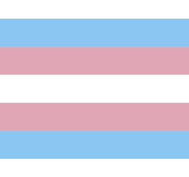 Transflagga bil klistermärke - Tenstickers