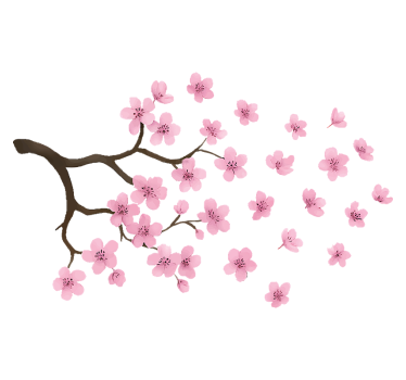Bil klistermärke rosa körsbärsblomma - Tenstickers