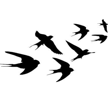 Flygande sväljer väggklistermärke - Tenstickers