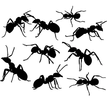 Uppsättning av myror vardagsrum dekor - Tenstickers