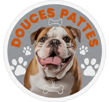 Bildekaler douces pattes engelsk bulldog - Tenstickers