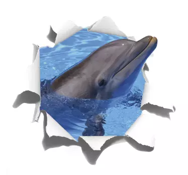 Dolphin visuella effekter vägg klistermärke - Tenstickers
