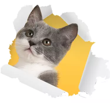 Väggdekor för katt 3d - Tenstickers
