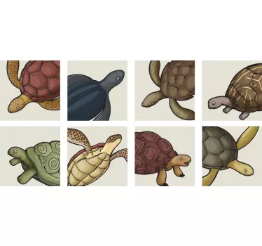 Olika sköldpaddor plattor överföring - Tenstickers