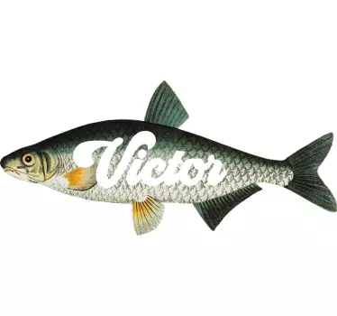 Vimba karp fisk väggdekor - Tenstickers