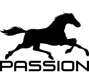 Häst passion bil dekal - Tenstickers