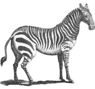 Vintage zebra illustration vilda djur klistermärke - Tenstickers