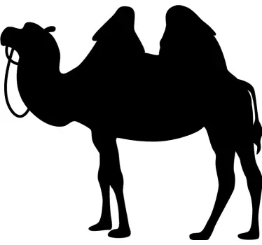 Kamel med regerar djur väggdekal - Tenstickers