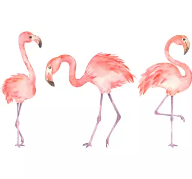 Akvarell tre flamingos fågel klistermärke - Tenstickers