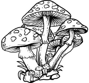 Handritad illustration svamp tapet dekal - Tenstickers