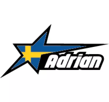 Svensk flagga i stjärna och anpassat namn Bildekaler - Tenstickers