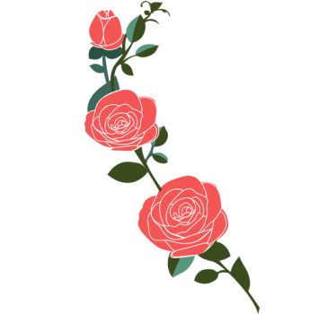 Rosa rosor gren väggdekor - Tenstickers