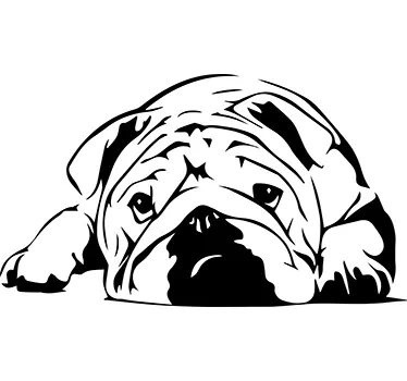 Gullig bulldogillustration vägg klistermärke - Tenstickers