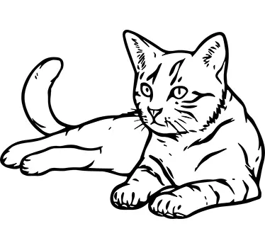 Dekorativa kattväggdekal - Tenstickers