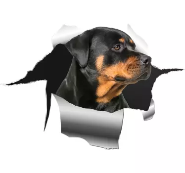 Rottweiller hål klistermärke husdjur dekaler - Tenstickers