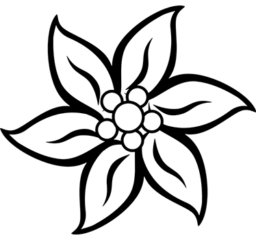 Edelweiss blomma klistermärke - Tenstickers