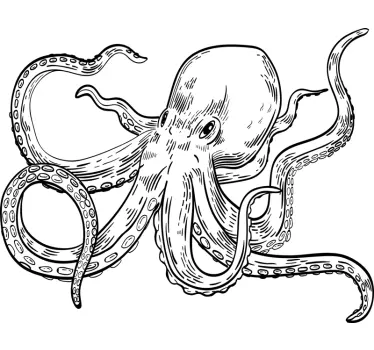 Illustrationen av en bläckfisk väggklistermärke  - Tenstickers
