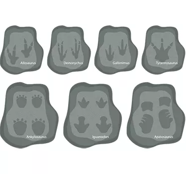 Dinosaurie fotavtryck barn väggdekor - Tenstickers