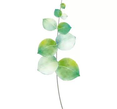 Eukalyptus illustration väggdekor - Tenstickers