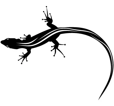 Färg salamander ödla klistermärke djur vägg klistermärke - Tenstickers