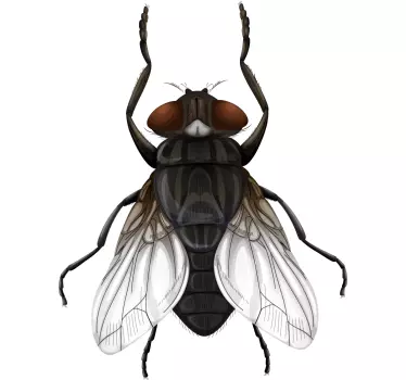 Flygillustration insektsvägg klistermärke - Tenstickers