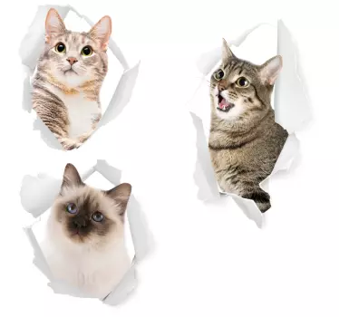 Kattungar djur vägg klistermärke - Tenstickers