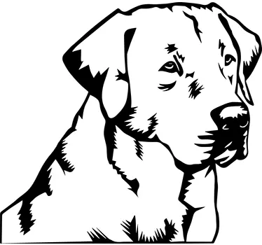 Labrador retriever klistermärke - Tenstickers