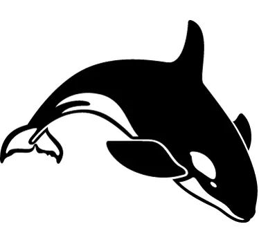 Orca whale wall sticker - Tenstickers