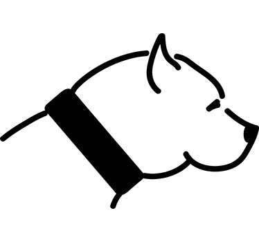 Pitbull väggklistermärke - Tenstickers