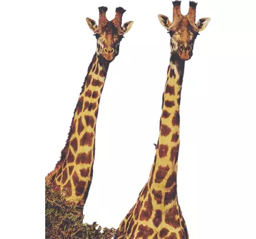 Realistiska giraffer vilda djur klistermärke - Tenstickers