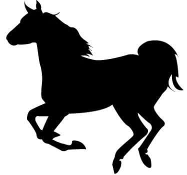Silhuett häst vägg klistermärke - Tenstickers
