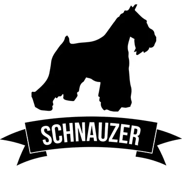 Silhuett schnauzer vägg klistermärke - Tenstickers