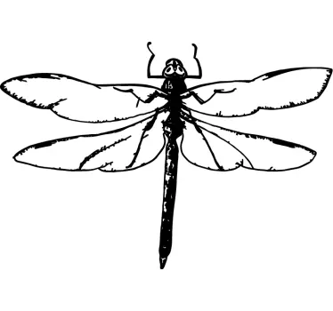 Slända illustration insekt vägg klistermärke - Tenstickers