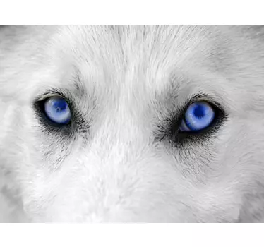 Wolf eyes laptop sticker - Tenstickers